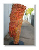 galeriagitana_apr12011038.jpg