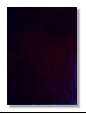 galeriagitana_jan12009001.jpg